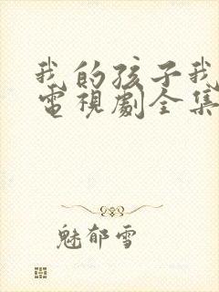 我的孩子我的家电视剧全集免费封面