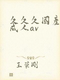 久久久国产精品成人av