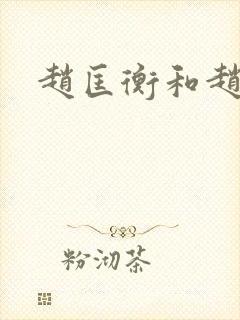 赵匡衡和赵匡胤封面