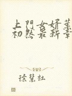 上门女婿叶辰萧初然最新章节免费阅读书