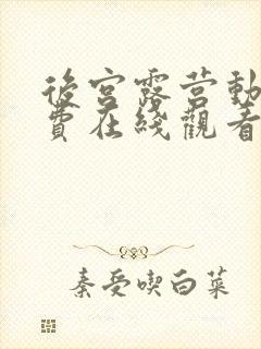 后宫露营动漫免费在线观看