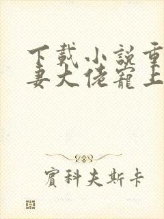 下载小说重生狂妻大佬宠上天