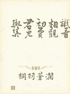 与君初相识31集免费观看封面