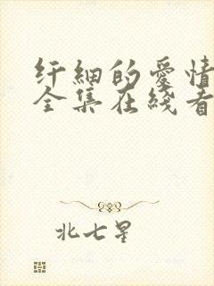 纤细的爱情动漫全集在线看免费