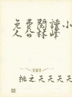 免费阅读小说主人公林峰