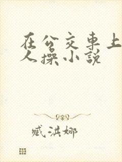 在公交车上被多人操小说