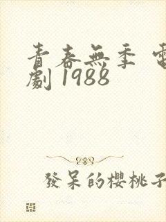 青春无季 电视剧 1988