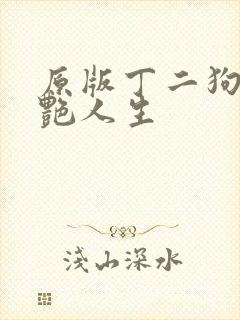 原版丁二狗的猎艳人生封面