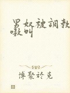 男奴被调教的嗷嗷叫