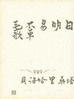 毛不易明日之子歌单