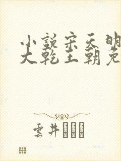 小说宋天明穿越大乾王朝免费阅读全文封面