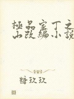 极品家丁之董青山改编小说