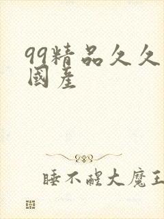 99精品久久久国产