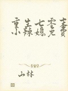 重生七零末逆袭小辣媳免费阅读盛安宁