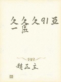 久久久91亚洲一区