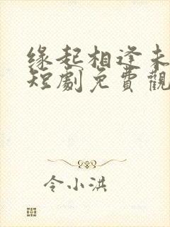 缘起相逢未相识短剧免费观看