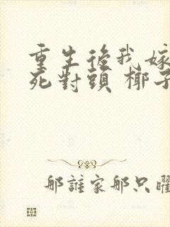 重生后我嫁给了死对头 椰子絮