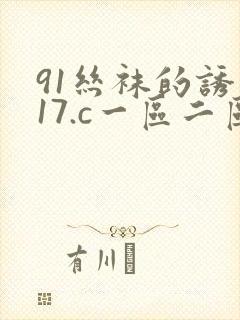 91丝袜的诱惑17.c一区二区三区