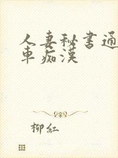 人妻秘书通勤电车痴汉封面