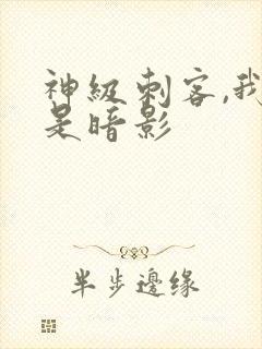 神级刺客,我即是暗影