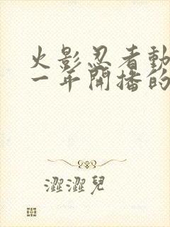 火影忍者动漫哪一年开播的