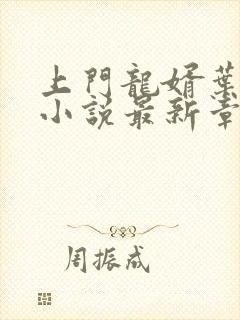 上门龙婿叶辰 小说最新章节