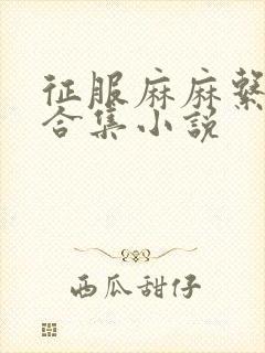 征服麻麻系列大合集小说