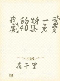 我的特一营电视剧40集免费观看