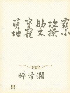 萌宝助攻霸道爹地宠又撩小说免费阅读