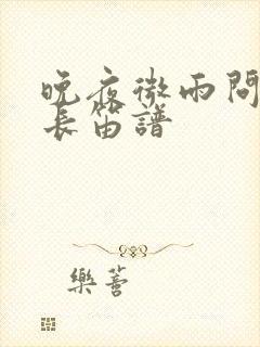 晚夜微雨问海棠长笛谱