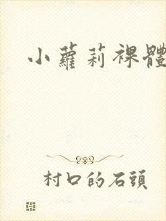 小萝莉裸体视频