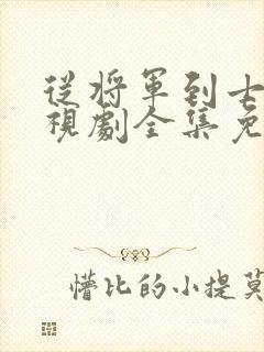 从将军到士兵电视剧全集免费观看