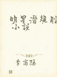 明星潜规则之皇 小说