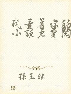 我看着你的时候小说免费阅读封面