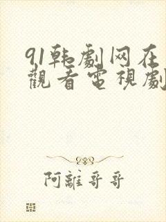 91韩剧网在线观看电视剧