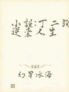 小说:丁二狗的逆袭人生