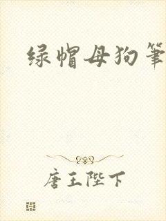 绿帽母狗笔趣阁封面