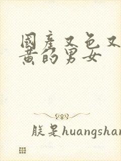 国产又色又爽又黄的男女