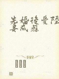 先婚后爱陆队宠妻成瘾