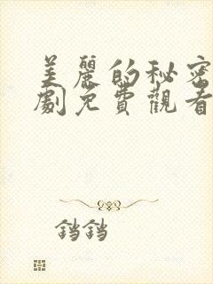 美丽的秘密电视剧免费观看全集封面