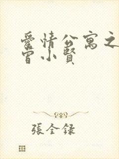 爱情公寓之极品曾小贤