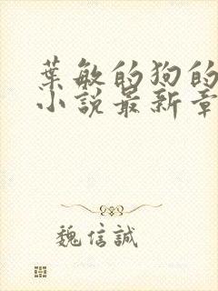 叶敏的狗的乐趣小说最新章节更新