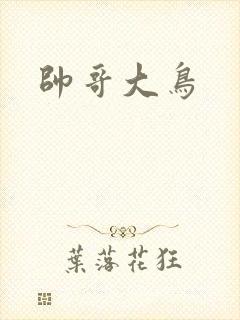帅哥大鸟