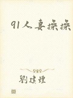 91人妻操操