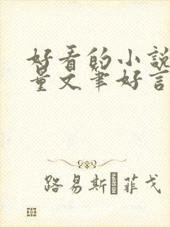 好看的小说高质量文笔好言情封面