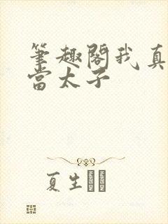 笔趣阁我真不想当太子封面