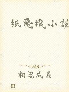 纸飞机小说