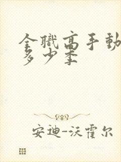 全职高手动漫有多少季