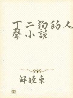 丁二狗的人生有声小说