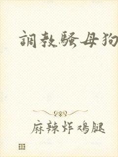 调教骚母狗女女